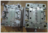 Mold picture